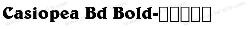 Casiopea Bd Bold字体转换